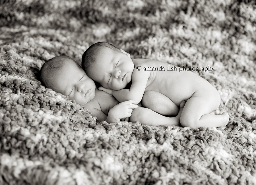 double the love. [omaha, ne newborn photographer]